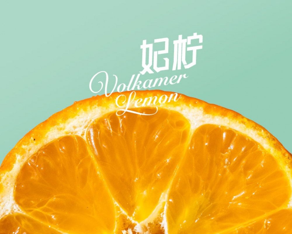 妃檸 紅檸檬禮盒包裝設計